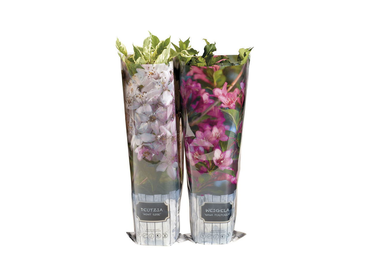 Spring Shrubs1