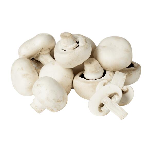 Champignon