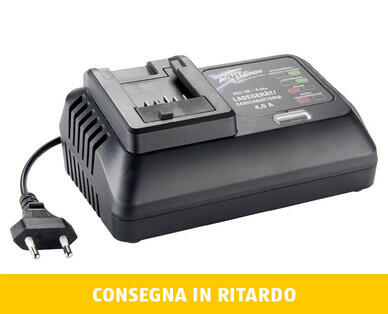 ACTIV ENERGY(R) 
 DISPOSITIVO DI RICARICA PER BATTERIE