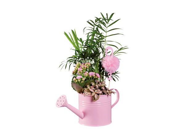 Arrangement "flamant rose" dans un arrosoir