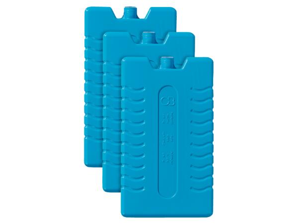 Ice Packs, 2 or 3 pieces
