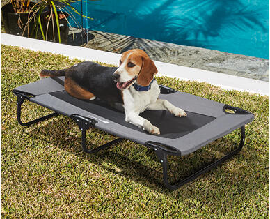 Folding Travel Pet Bed