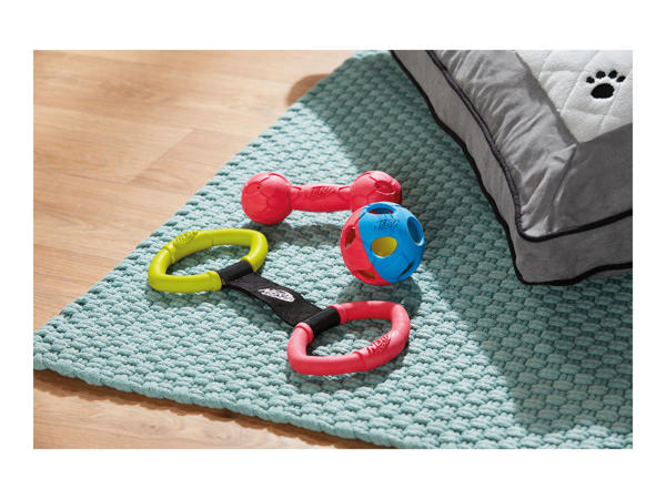 Nerf Dog Toy