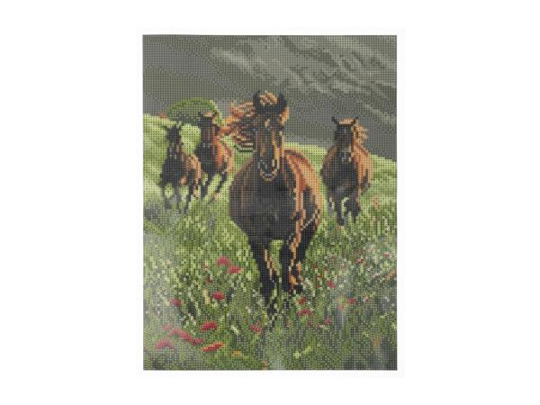 Crelando Diamond Painting Set - Horses