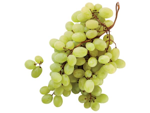 White Grapes PGI