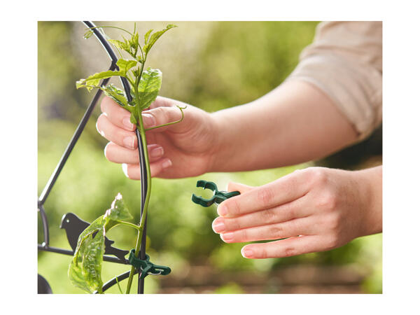 Parkside Planting Accessories Assortment