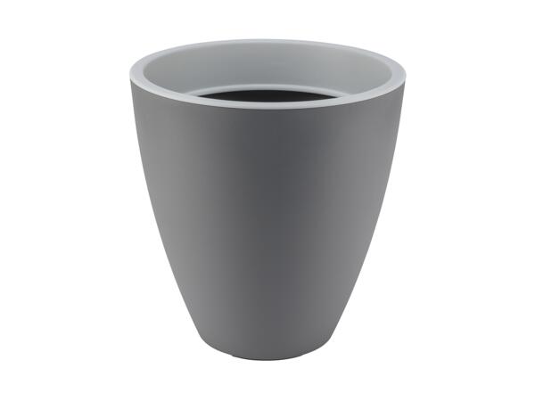 Plant Pot