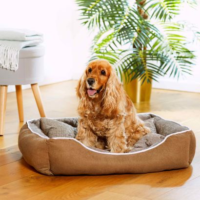 Panier multifonctionnel pour animaux domestiques