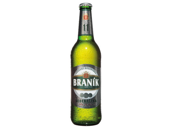 BRANÍK