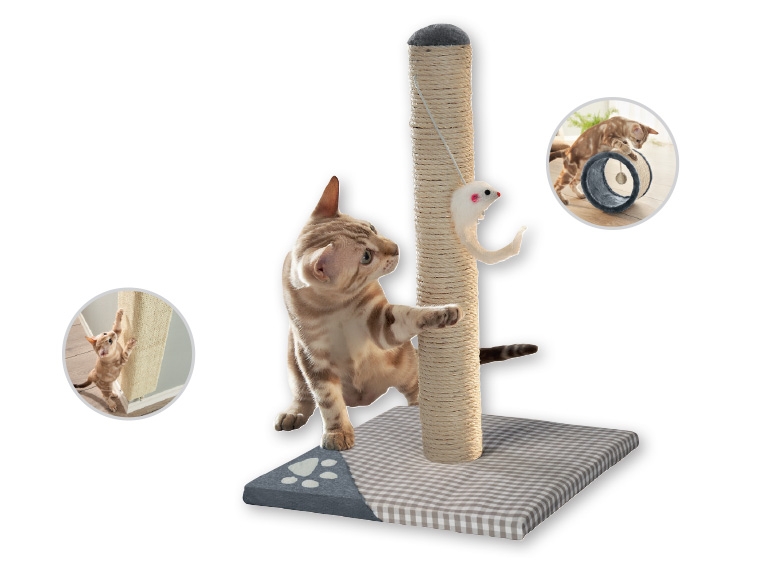 ZOOFARI Pet Accessories