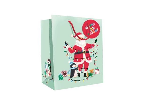 Kids' Medium Gift Bag