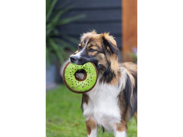 Dog Toy