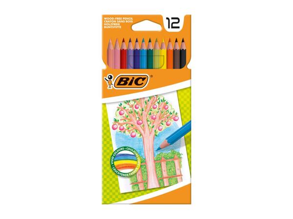 BIC Stationery Assortment