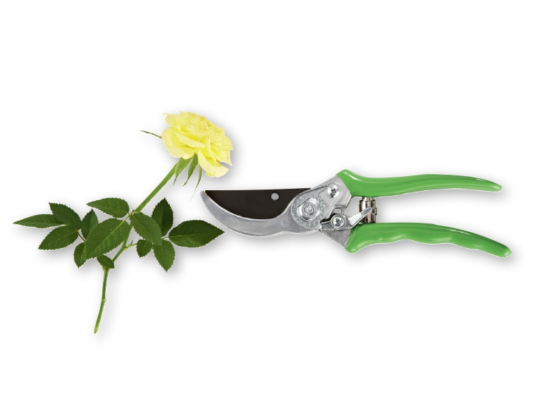 Florabest Rose Secateurs