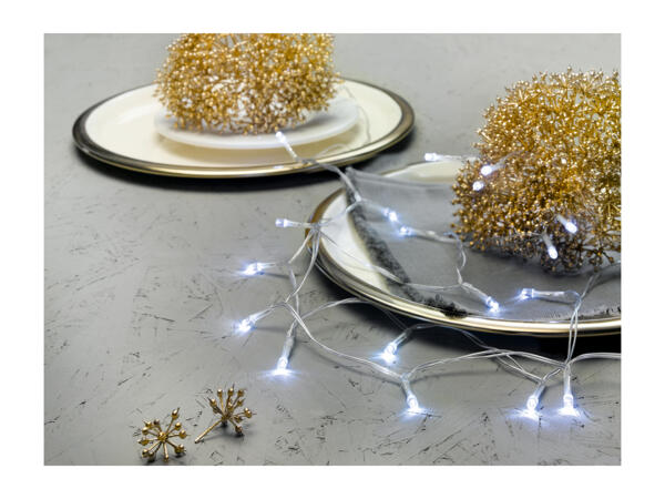 Livarno Home 20 LED String Lights