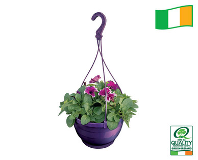 Irish Window Box Hanging Planter