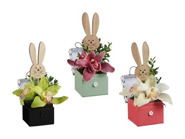 Composition florale d'orchidées lapin de Pâques