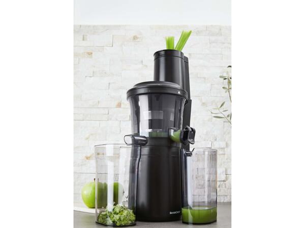 Slow Juicer