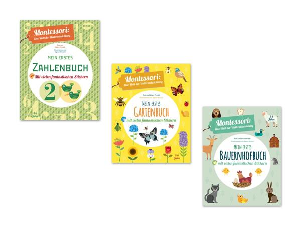 Montessori Buch