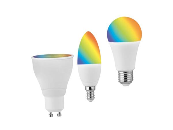 LED Light Bulbs