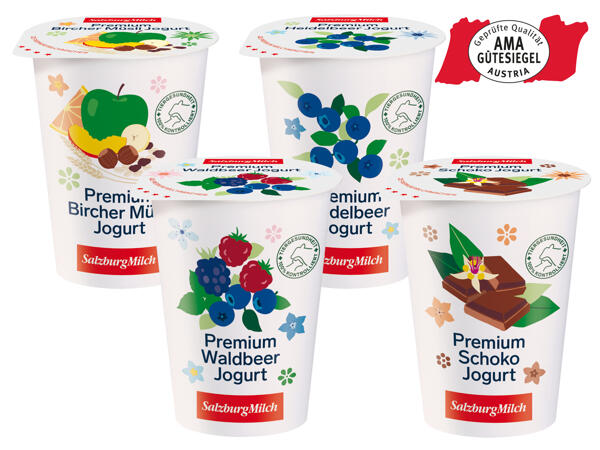 Salzburg Milch Fruchtjoghurt