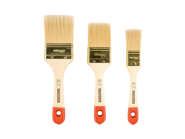 Paintbrush Set
