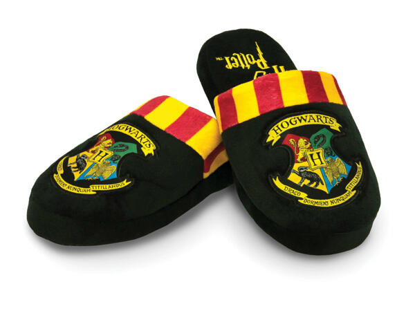 Adults' Character Slippers