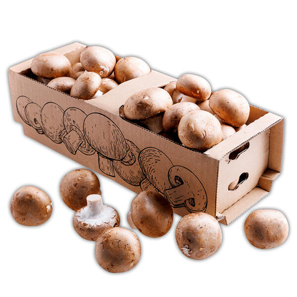 Champignons Braun