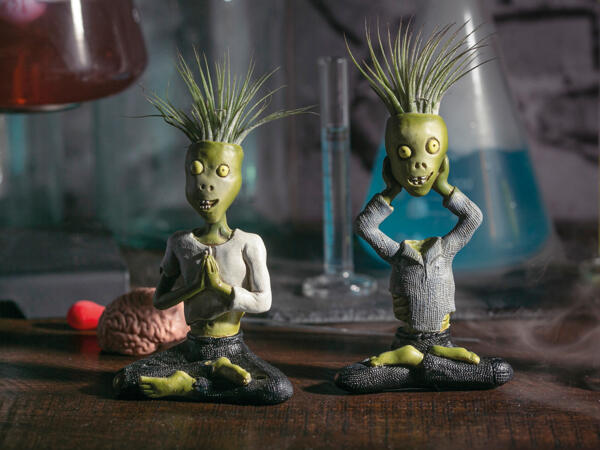 Tillandsia i keramik