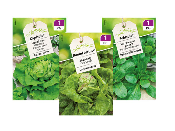 Vegetable Seeds