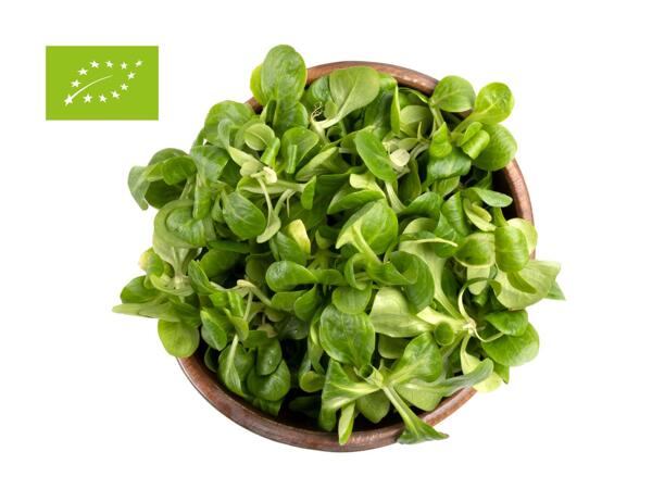 Bio Salate, sortiert
