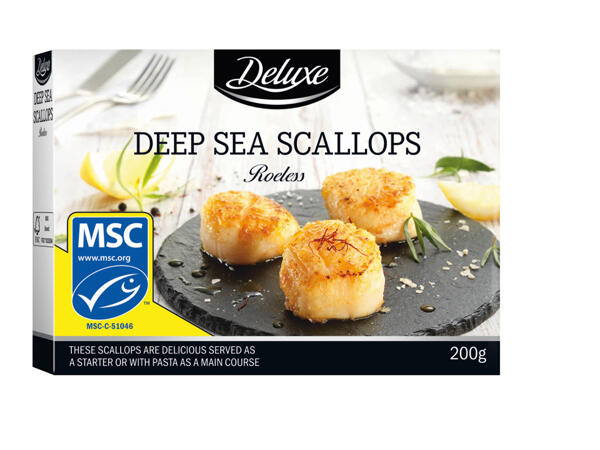 Deep Sea Scallops