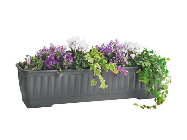 Flower Box
