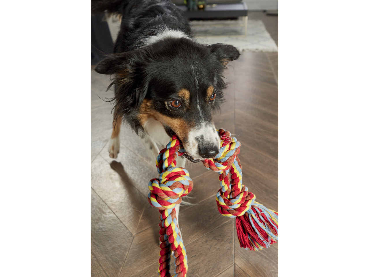 Dog Toy Rope