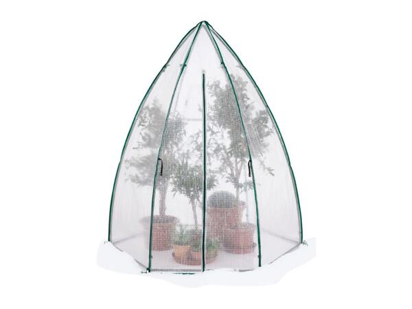 Parkside Greenhouse