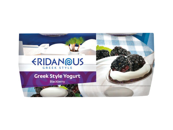 Greek Style Yogurt