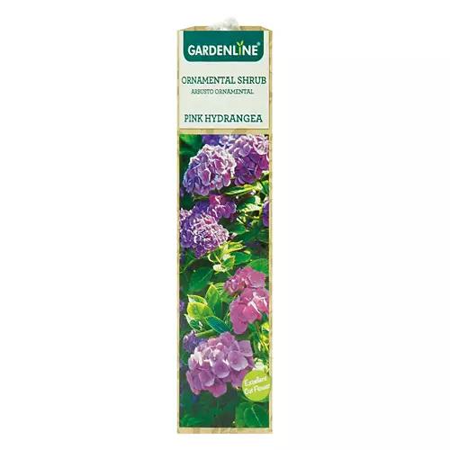 Ornamental Shrub - Assorted Varieties
