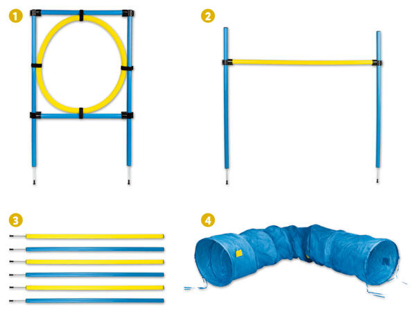 Hunde Agility-Sortiment