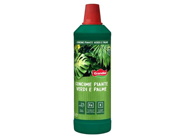 Green Plant and Palm Fertilizer