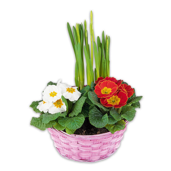 Bunter Frühlingskorb