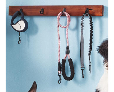 Dog Lead Assortment