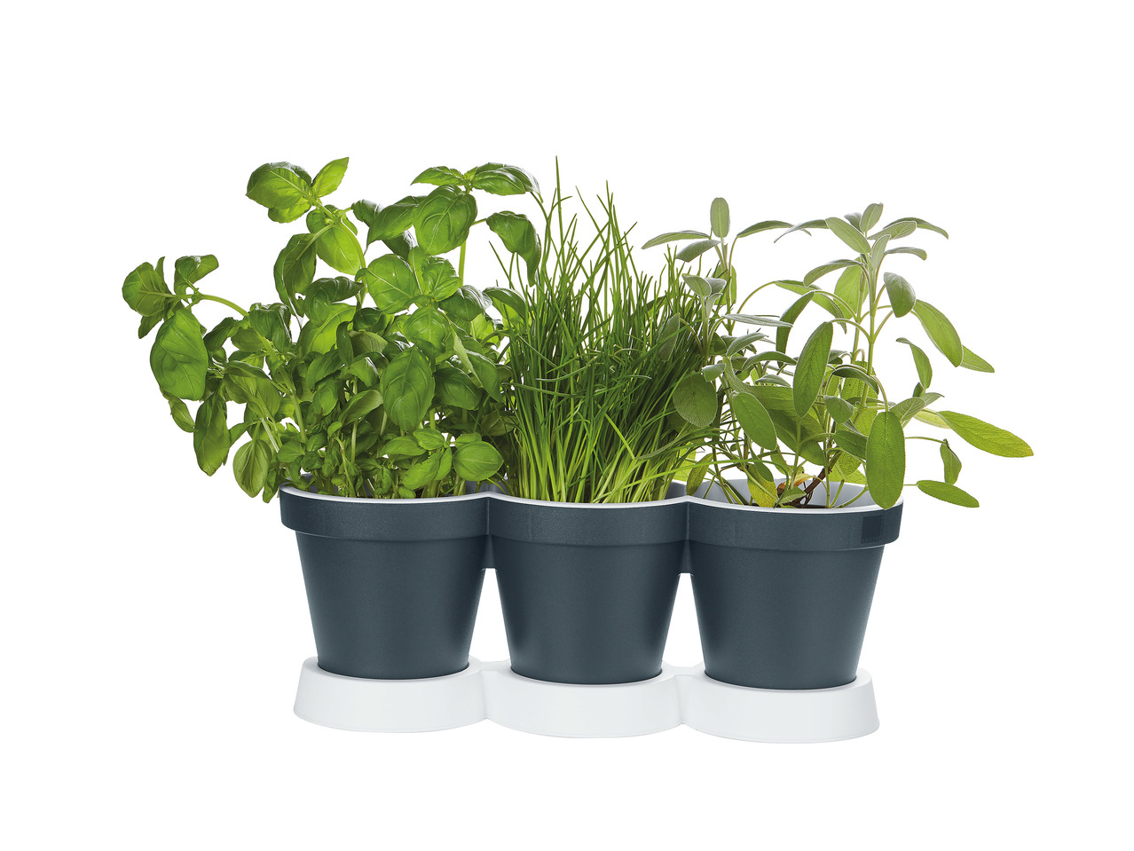 Florabest 3-in-1 Herb Pot1
