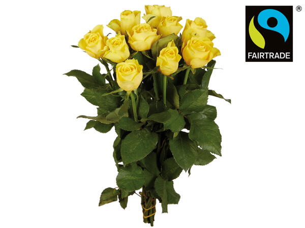 Fairtrade Rosen