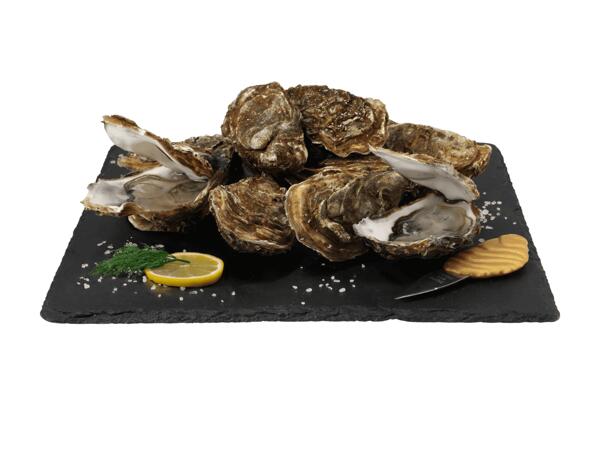 Ostriche Marenne d'Oleron N. 3