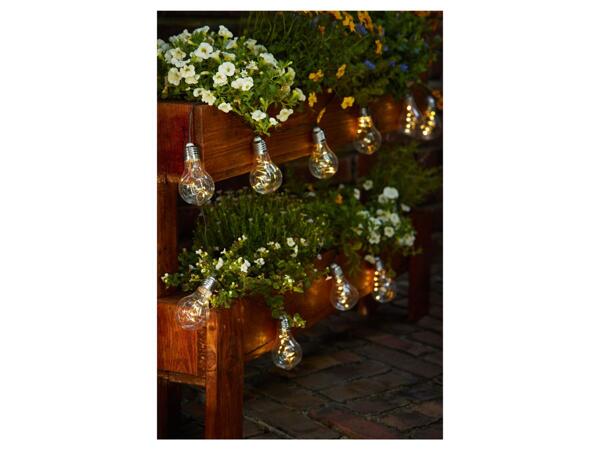 Livarno Solar Fairy Lights