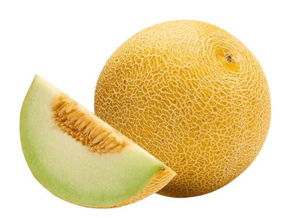 Galiamelone