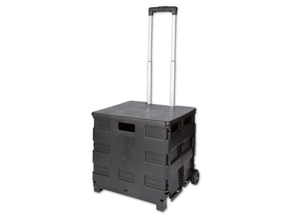 Easymaxx Einkaufstrolley