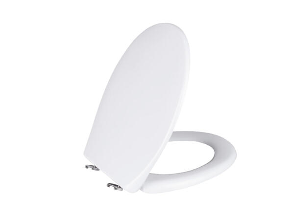 Toilet Seat