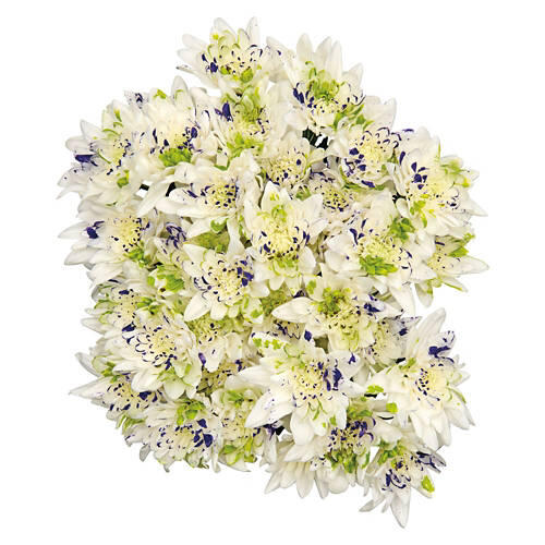 Fresh Flower Bouquet - Assorted Color