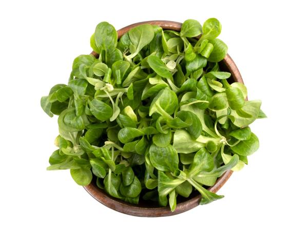 Bio Salate